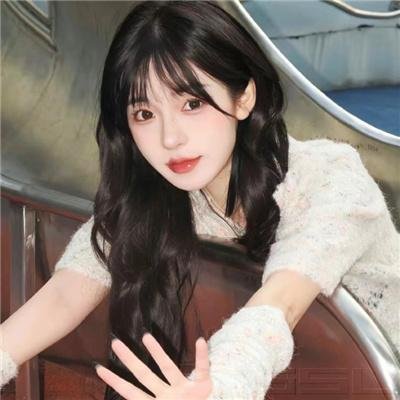 科搜研之女第24季